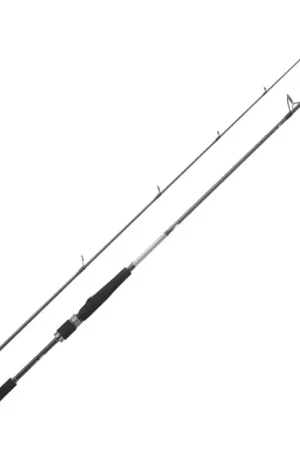 Caña Daiwa Saltist Seabass 24 Stock Limitado