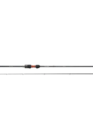 Solo Hoy Caña Palms Pinwheel PFGS-75L+ 2.26m 3-14 gr