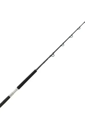 Daiwa Sealine X Trolling No Te Lo Pierdas