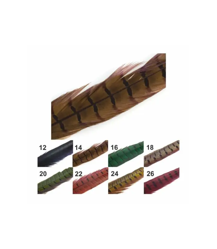 Plumas cola Faisan Macho 2 Unidades varios colores Oferta Especial