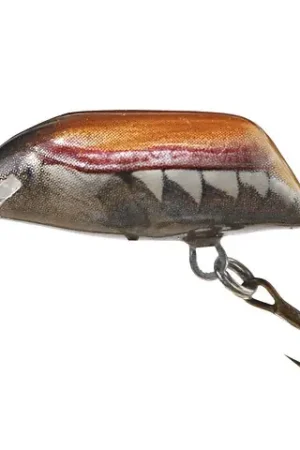 Stock Limitado Dorado Beetle 3