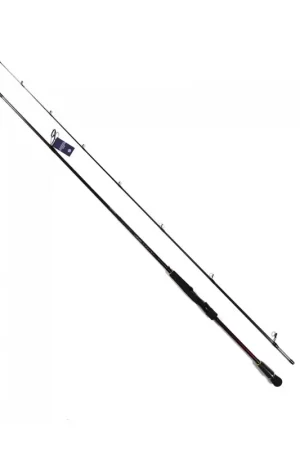 CAÑA DAIWA INFEET SEABASS 2023 SPINNING Certificado
